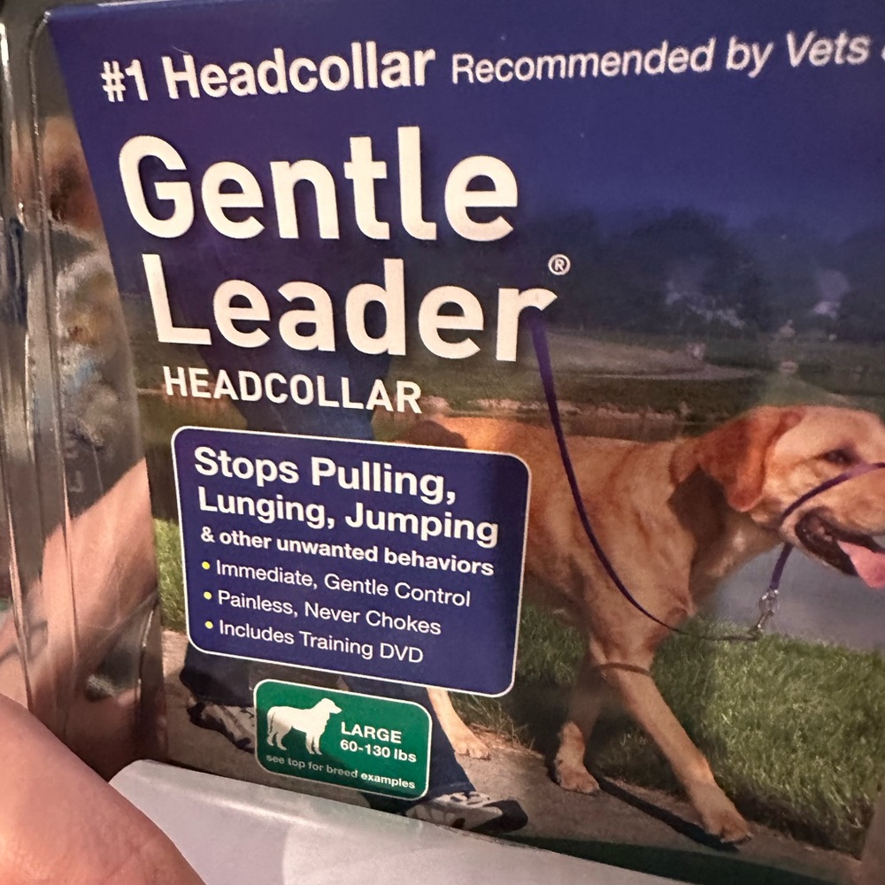 Like New - Size Large Purple Gentle Leader Dog Leash Petsafe Head Collar